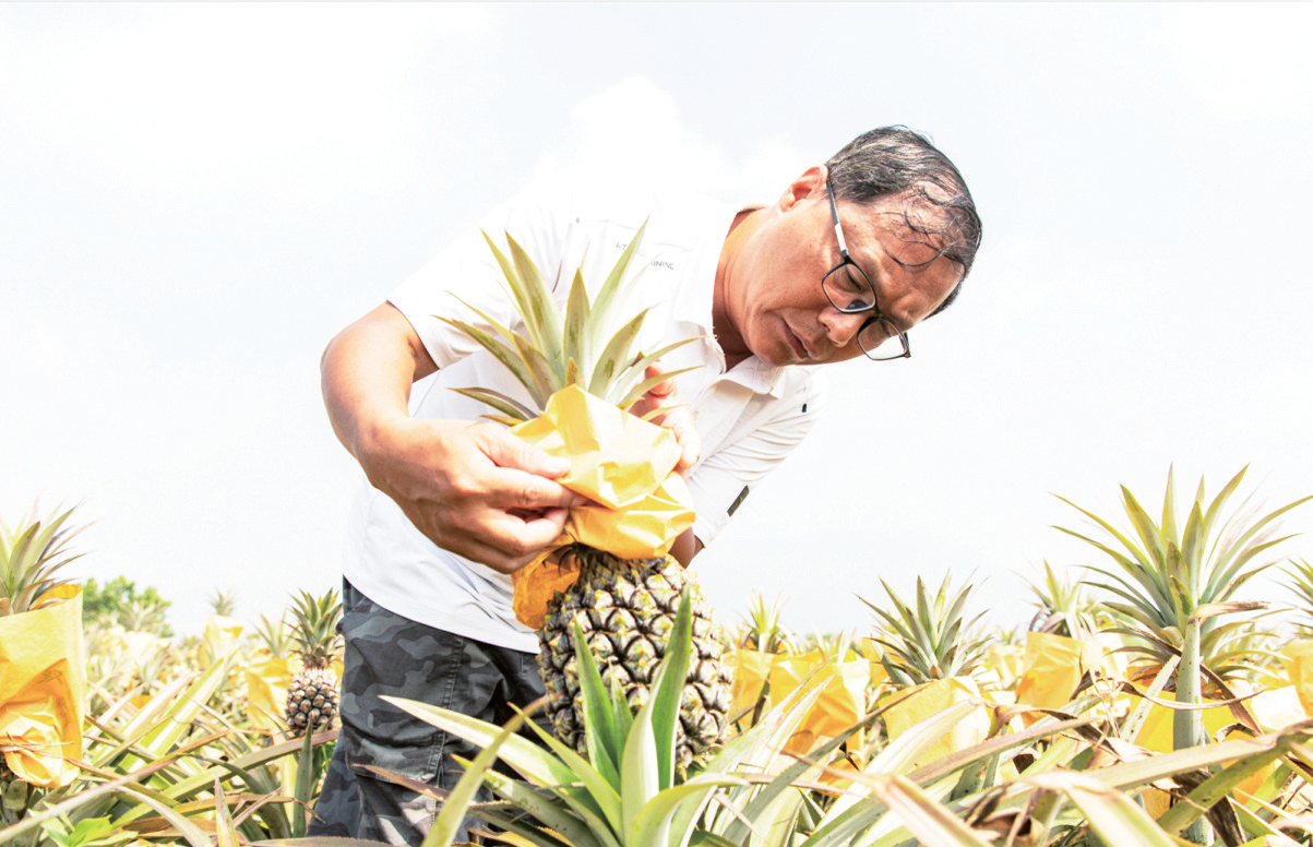果园里收获梦想和幸福