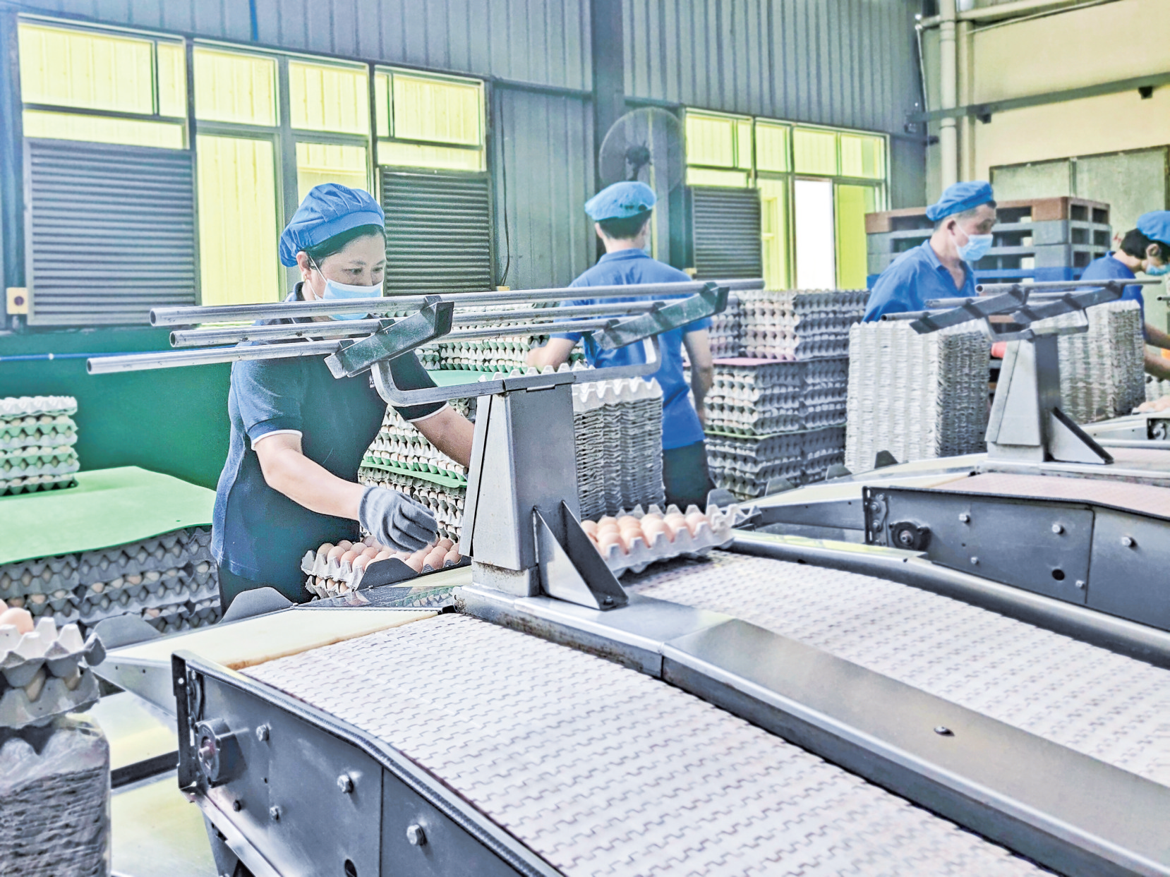 光阳蛋业上半年完成产值4.3 亿元 同比增长5.3%