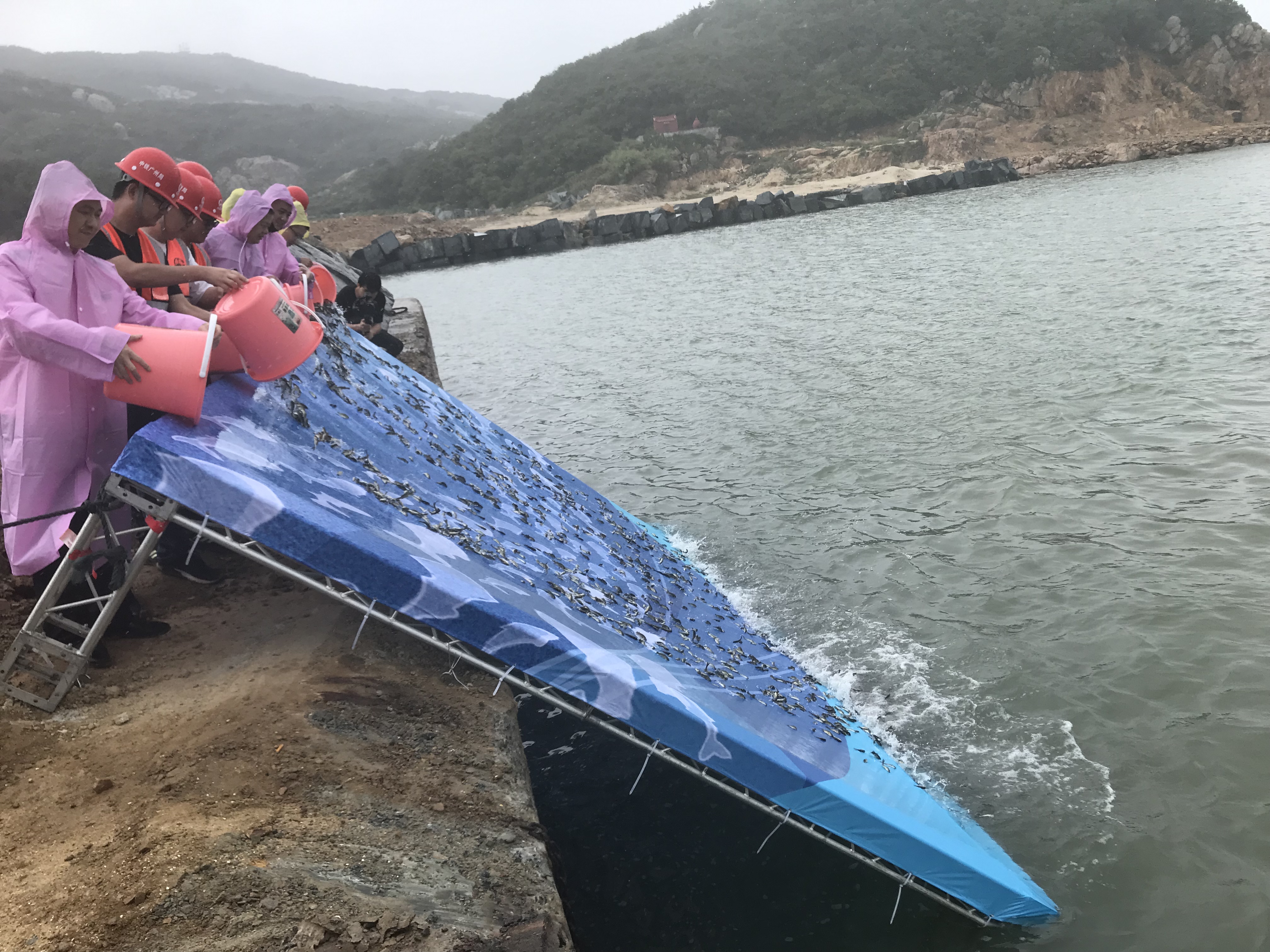 160万尾鱼苗投放入海