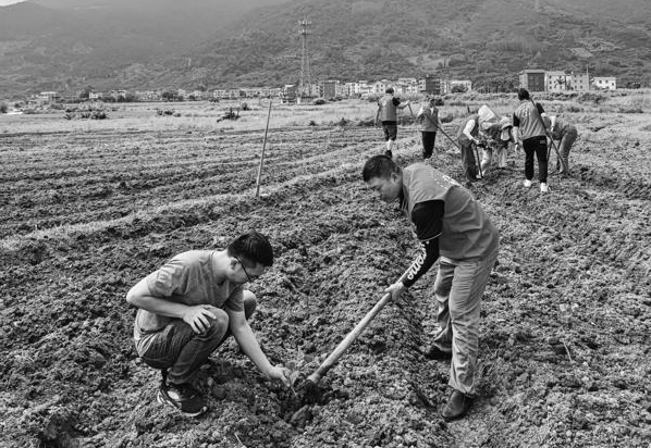 【图片新闻】“我在景区有亩田”党员志愿服务活动