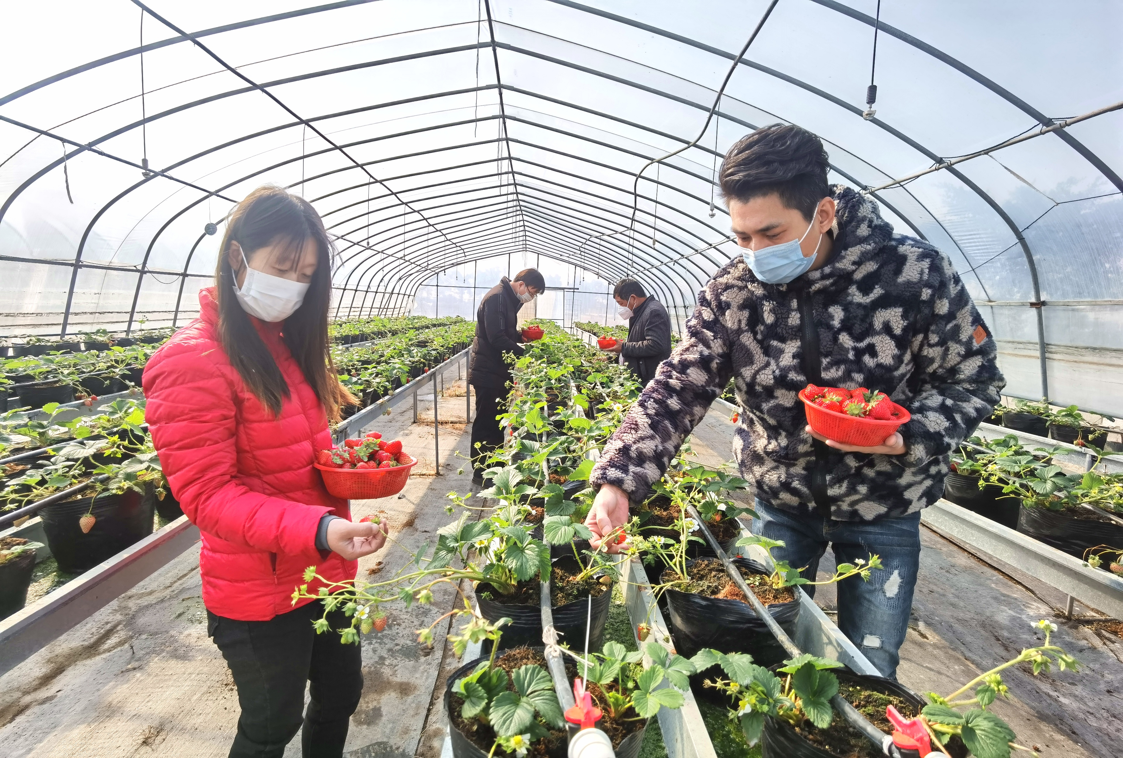 台商留融过春节 防控疫情保生产