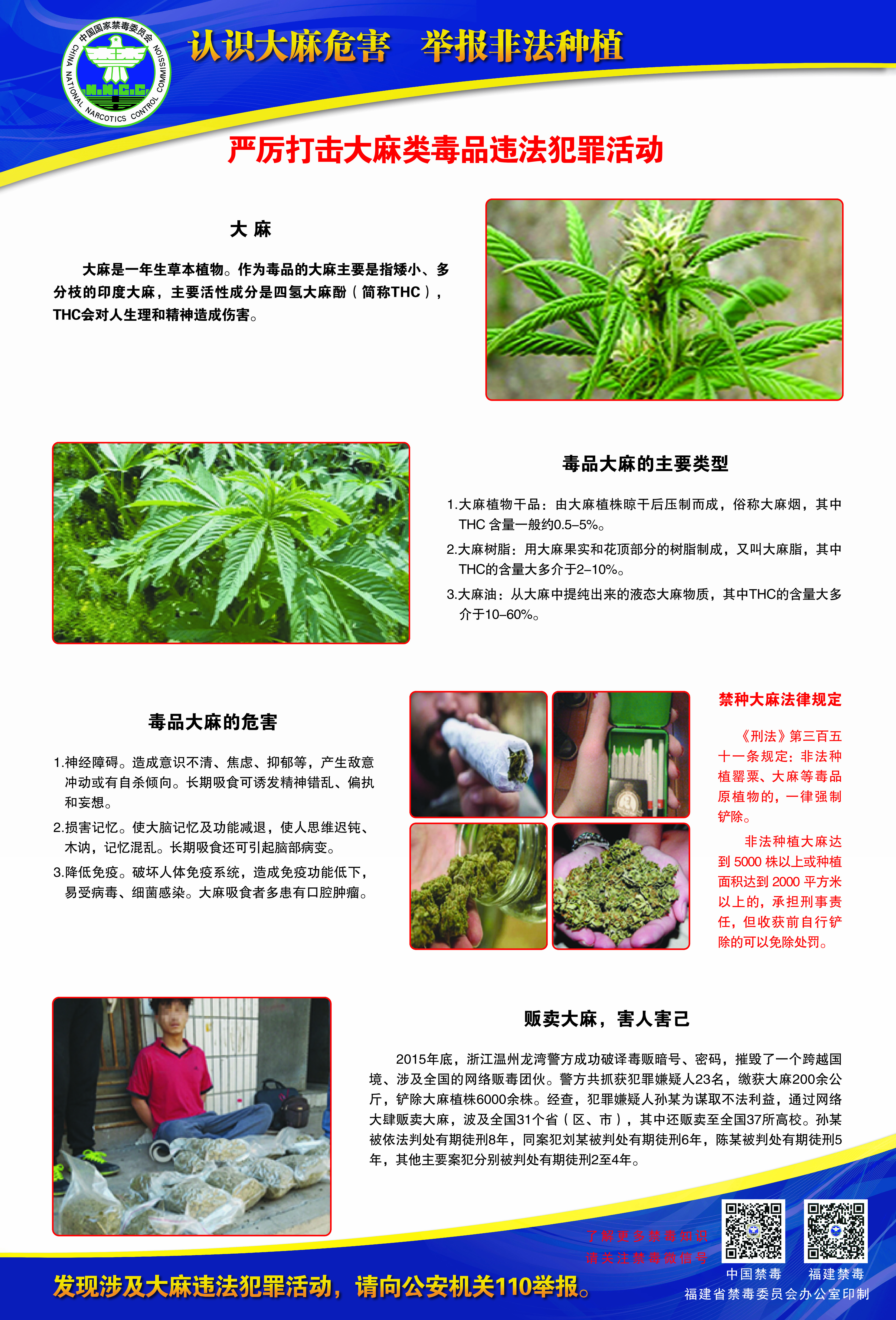 公益广告：禁毒2